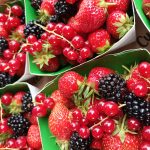 Fruits rouges bio - Les jardins de ma petite