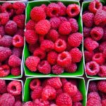 Framboises bio - Les jardins de ma petite