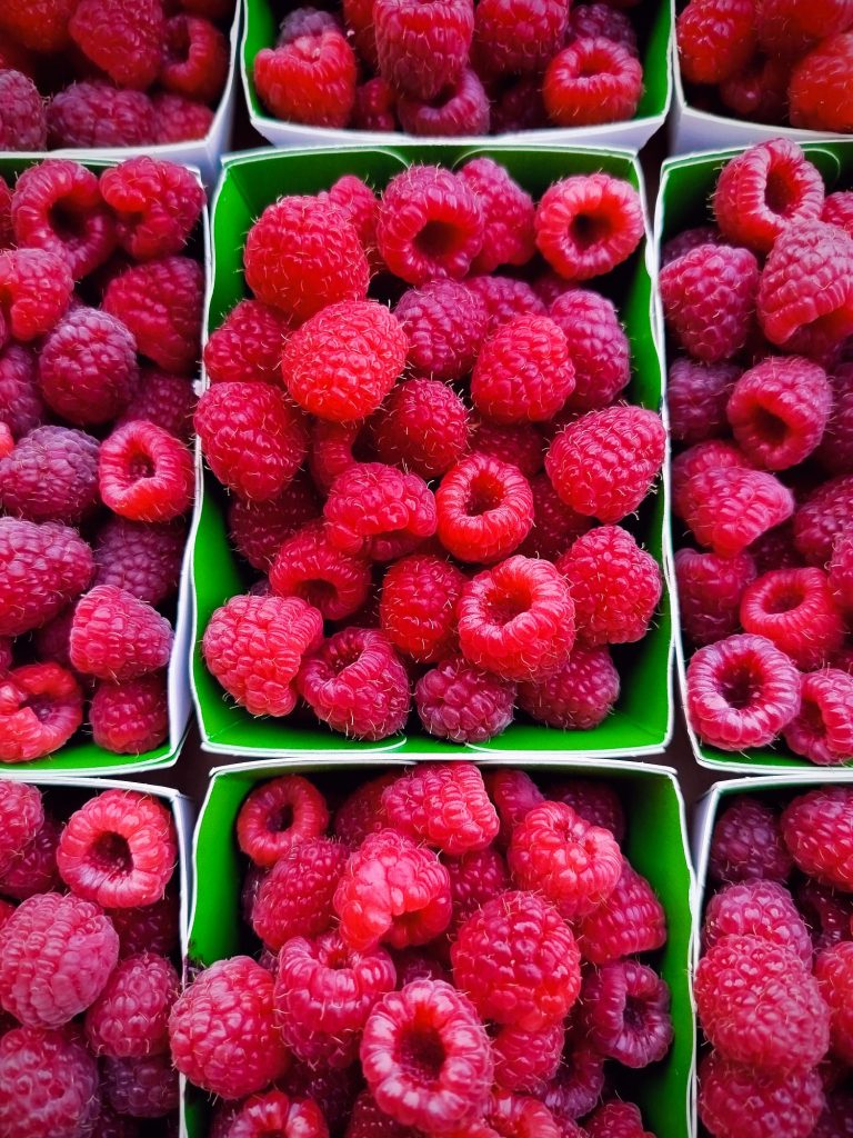 Framboises bio - Les jardins de ma petite
