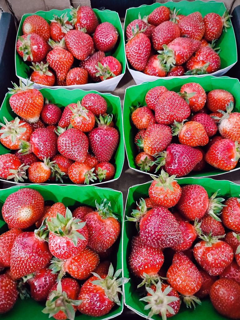 Fraises Bio 2 - Les jardins de ma petite